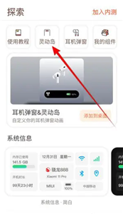 灵动岛