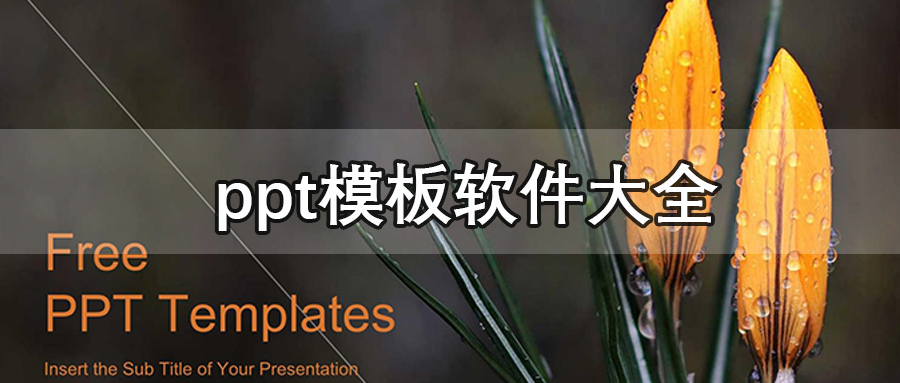 ppt模板软件
