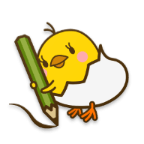 piyo日志免费版